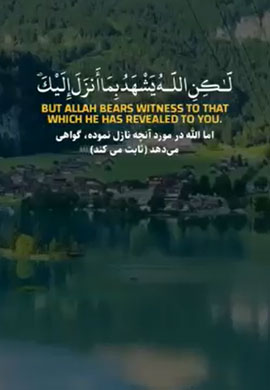 سوره النساء